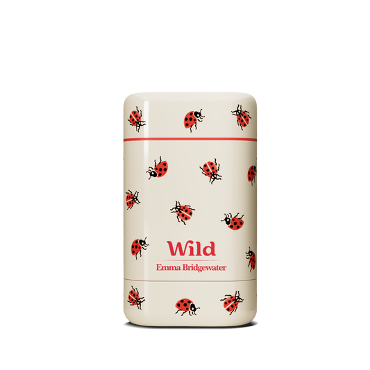 Ladybird Stick Deodorant Case