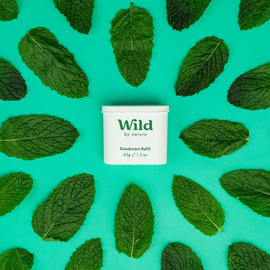 Mint & Eucalyptus Trio Pack